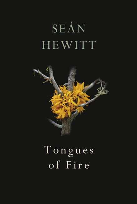 Tongues of Fire by Seán Hewitt <br><b>PBS Summer Recommendation 2020</b>