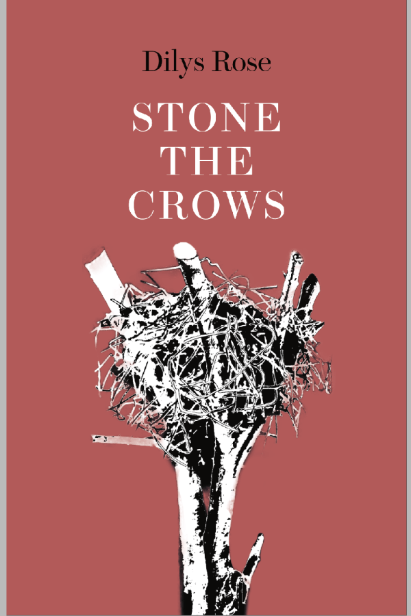 Stone the Crows by Dilys Rose