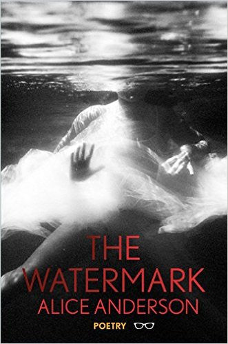 The Watermark by Alice Anderson