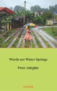 Words Are Water Springs by Peter Adegbie