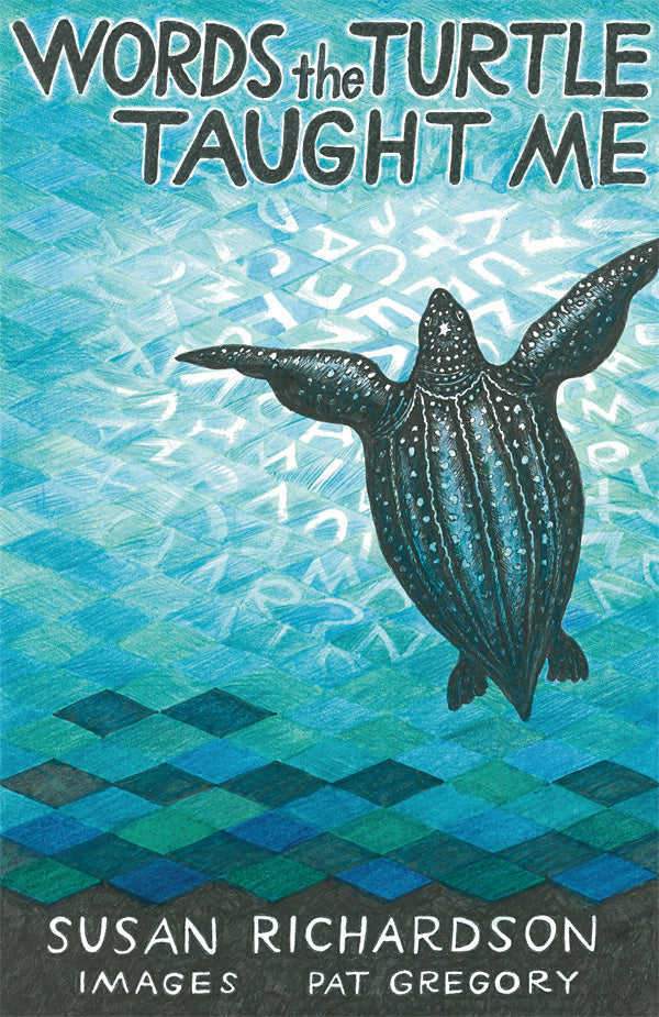 Words the Turtle Taught Me by Susan Richardson